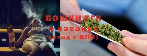 дживик Верхний Тагил