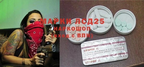 дживик Верхний Тагил