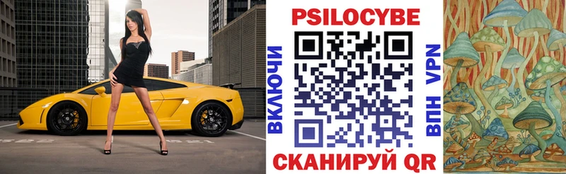 Псилоцибиновые грибы Psilocybe магазин наркотиков Можайск